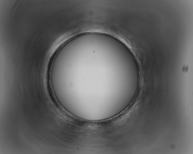 X0000101470199200807071227