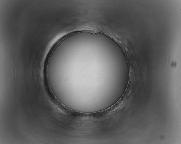 X0000101470200200807071226