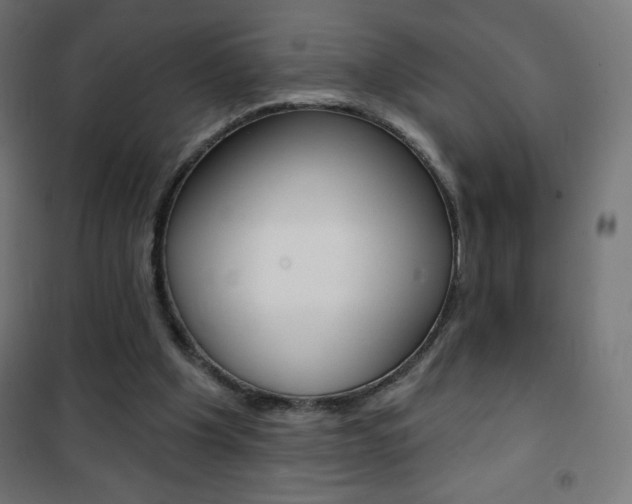 X0000101470201200807071226