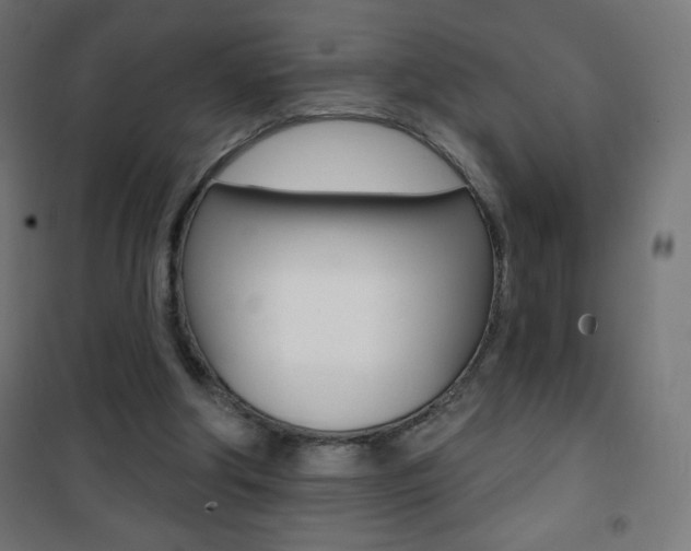X0000101470202200807071226