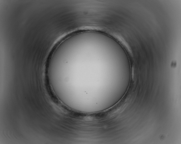 X0000101470204200807071226