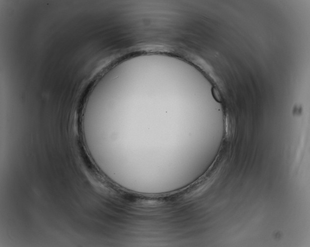 X0000101470205200807071226