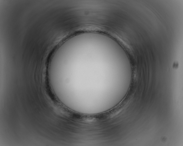 X0000101470206200807071226