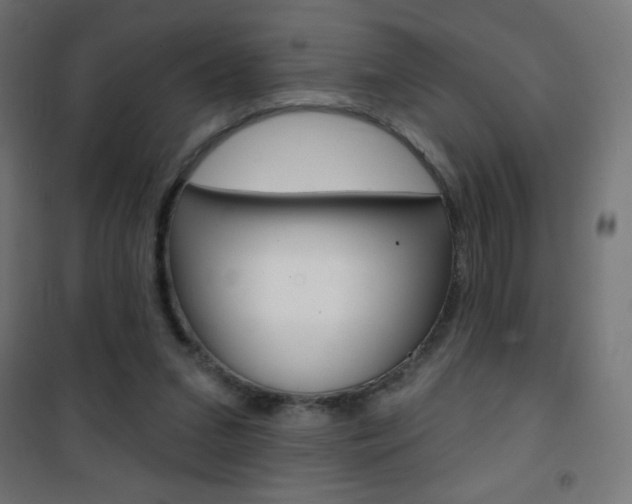 X0000101470207200807071226
