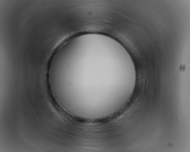 X0000101470208200807071226