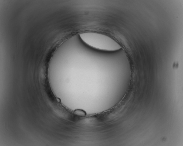 X0000101470210200807071226