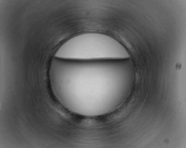 X0000101470211200807071226