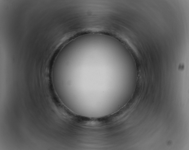 X0000101470212200807071226