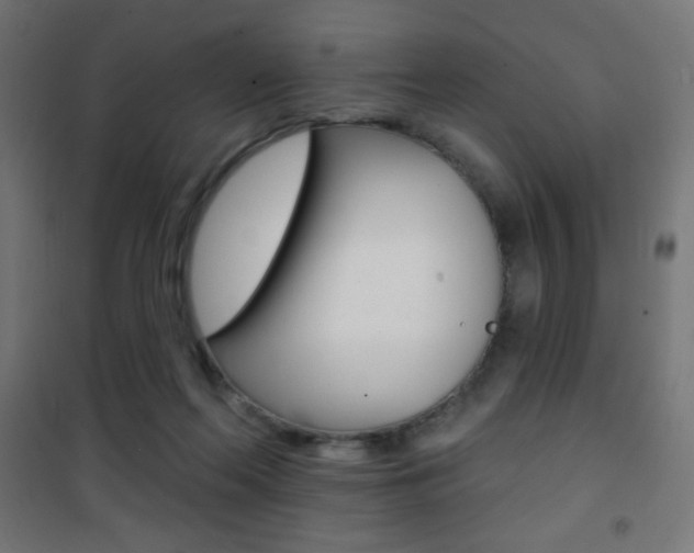 X0000101470214200807071226