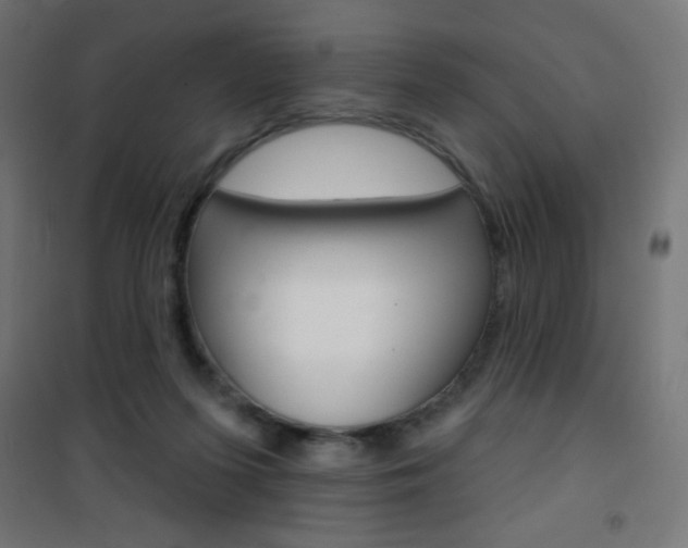 X0000101470215200807071226