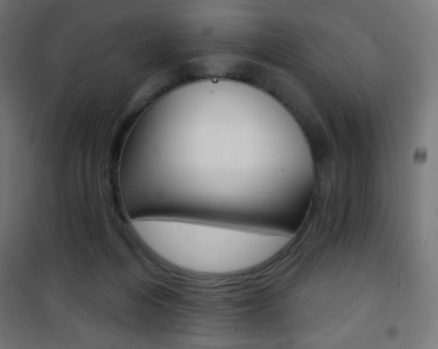 X0000101470216200807071226
