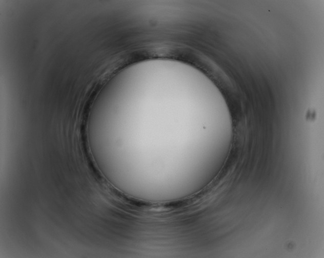 X0000101470217200807071226