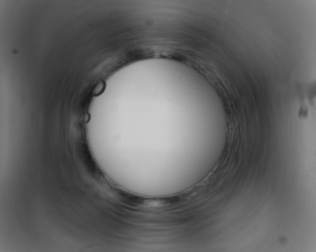 X0000101470218200807071226