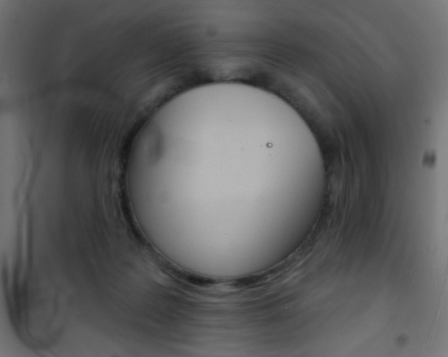 X0000101470219200807071226
