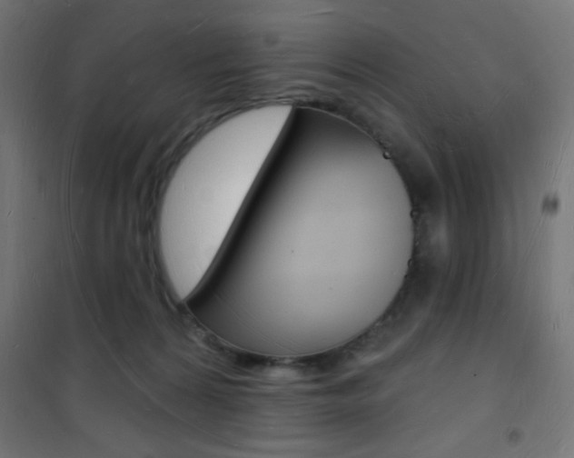 X0000101470224200807071226