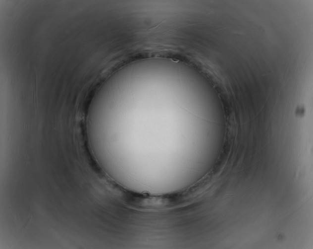 X0000101470225200807071226