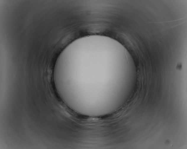 X0000101470227200807071226