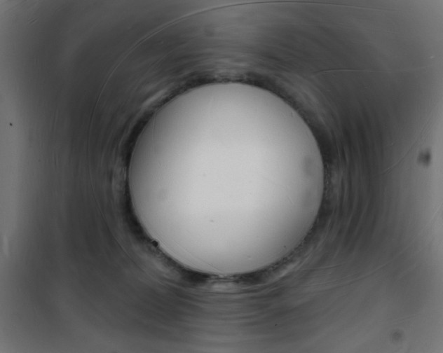 X0000101470228200807071226