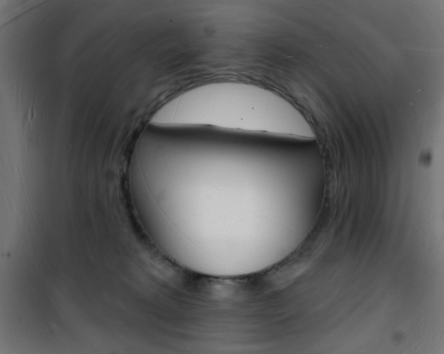 X0000101470229200807071226
