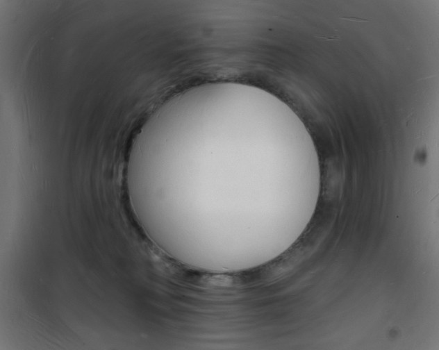 X0000101470230200807071226