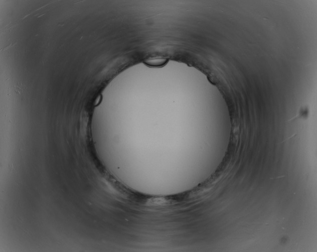 X0000101470231200807071226