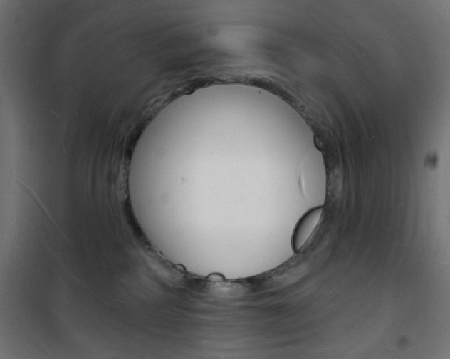 X0000101470234200807071226