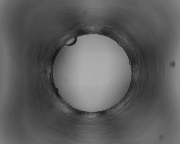 X0000101470235200807071226