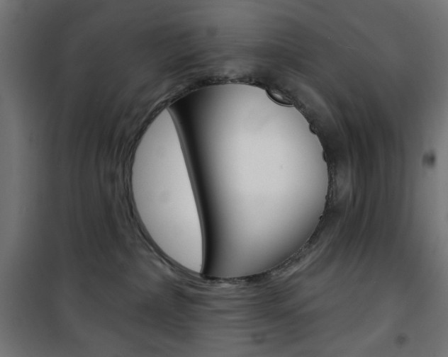 X0000101470236200807071226