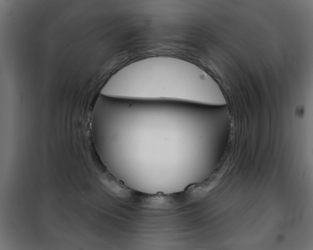 X0000101470237200807071226