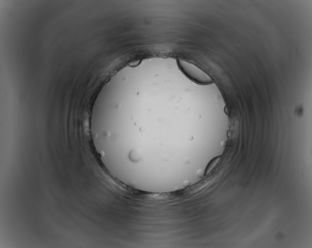 X0000101470238200807071226