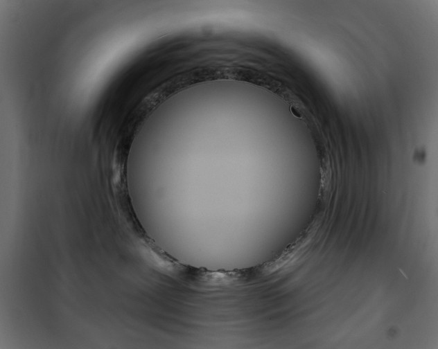 X0000101470239200807071226