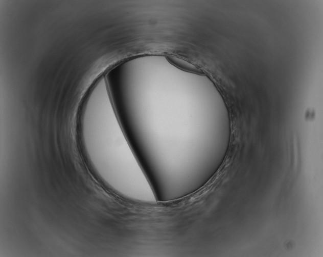 X0000101470242200807071225
