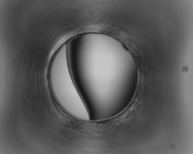 X0000101470244200807071225