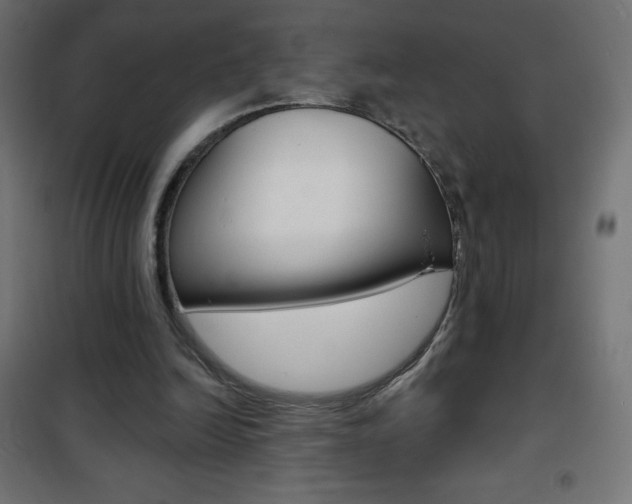 X0000101470246200807071225