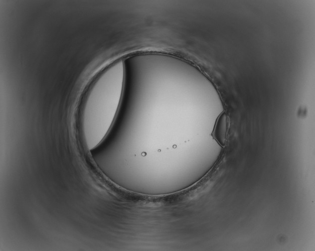 X0000101470247200807071225