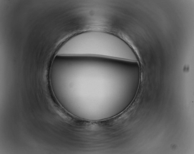 X0000101470249200807071225