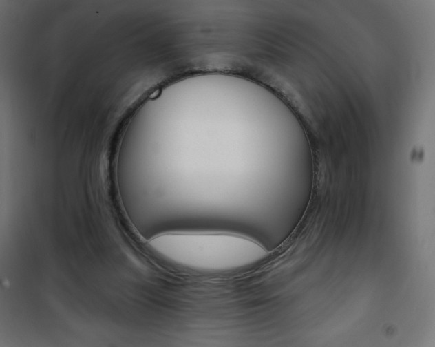 X0000101470251200807071225