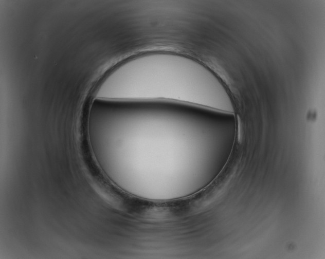 X0000101470252200807071225