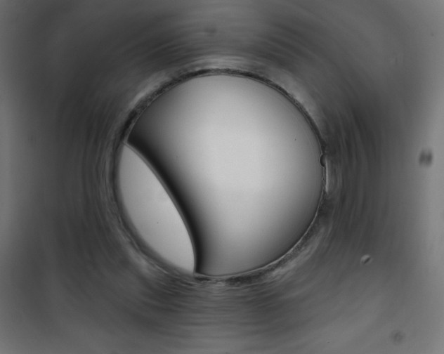 X0000101470253200807071225