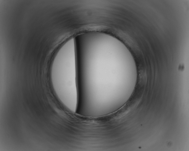 X0000101470254200807071225