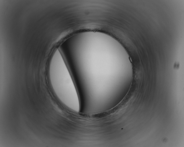 X0000101470256200807071225