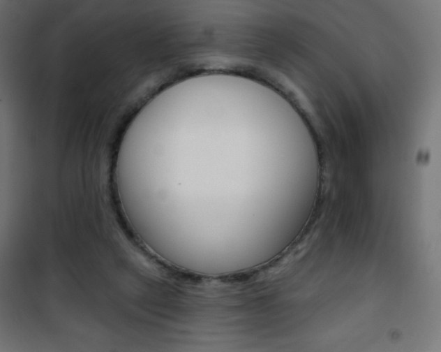 X0000101470257200807071226