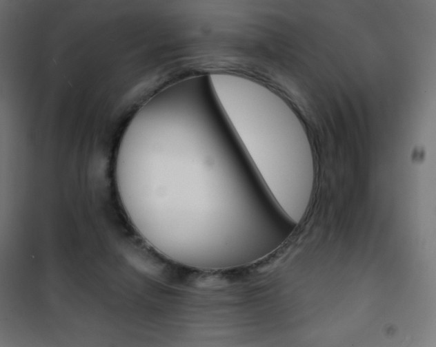 X0000101470258200807071226