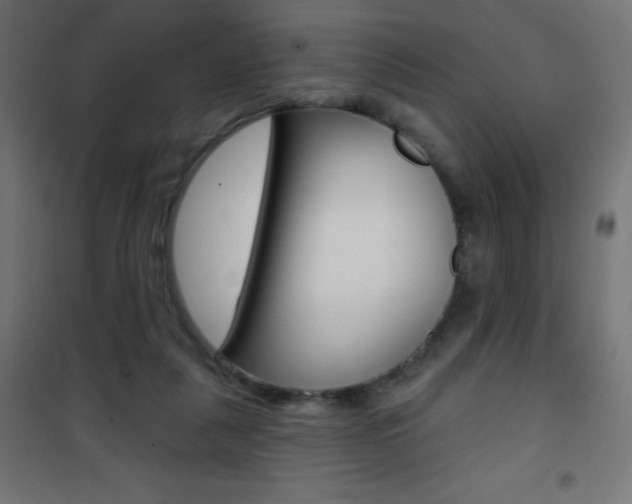 X0000101470259200807071226