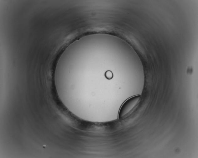 X0000101470260200807071226