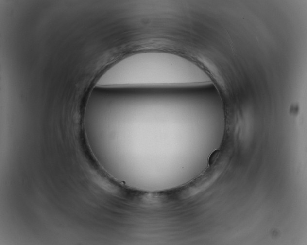 X0000101470261200807071226