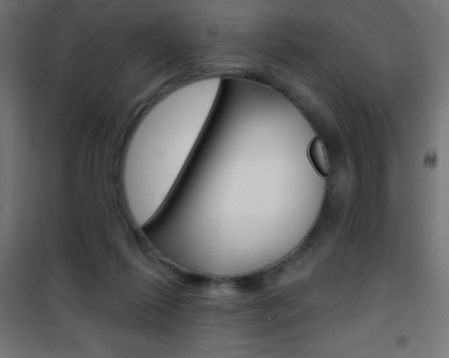 X0000101470262200807071226