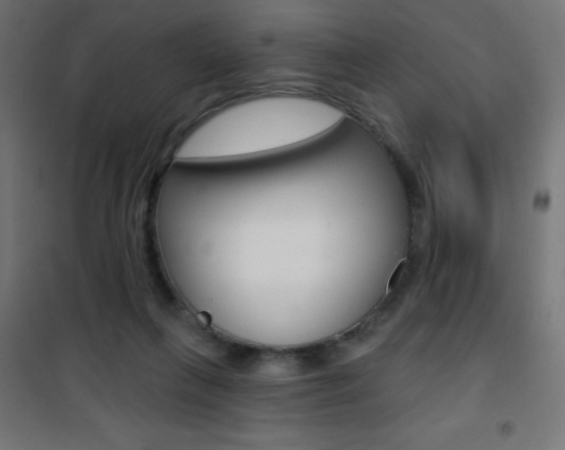 X0000101470263200807071226