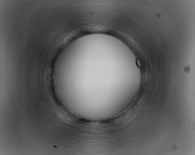 X0000101470264200807071226