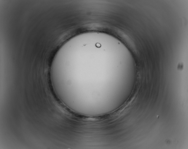 X0000101470265200807071226